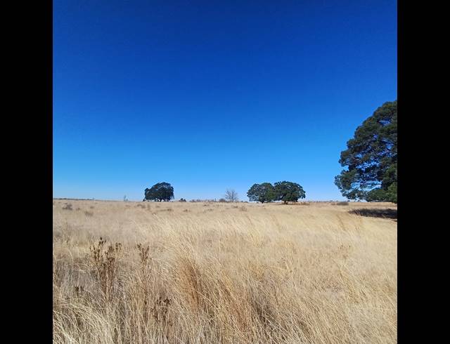 8.50HA VACANT LAND FOR SALE IN WITKOP